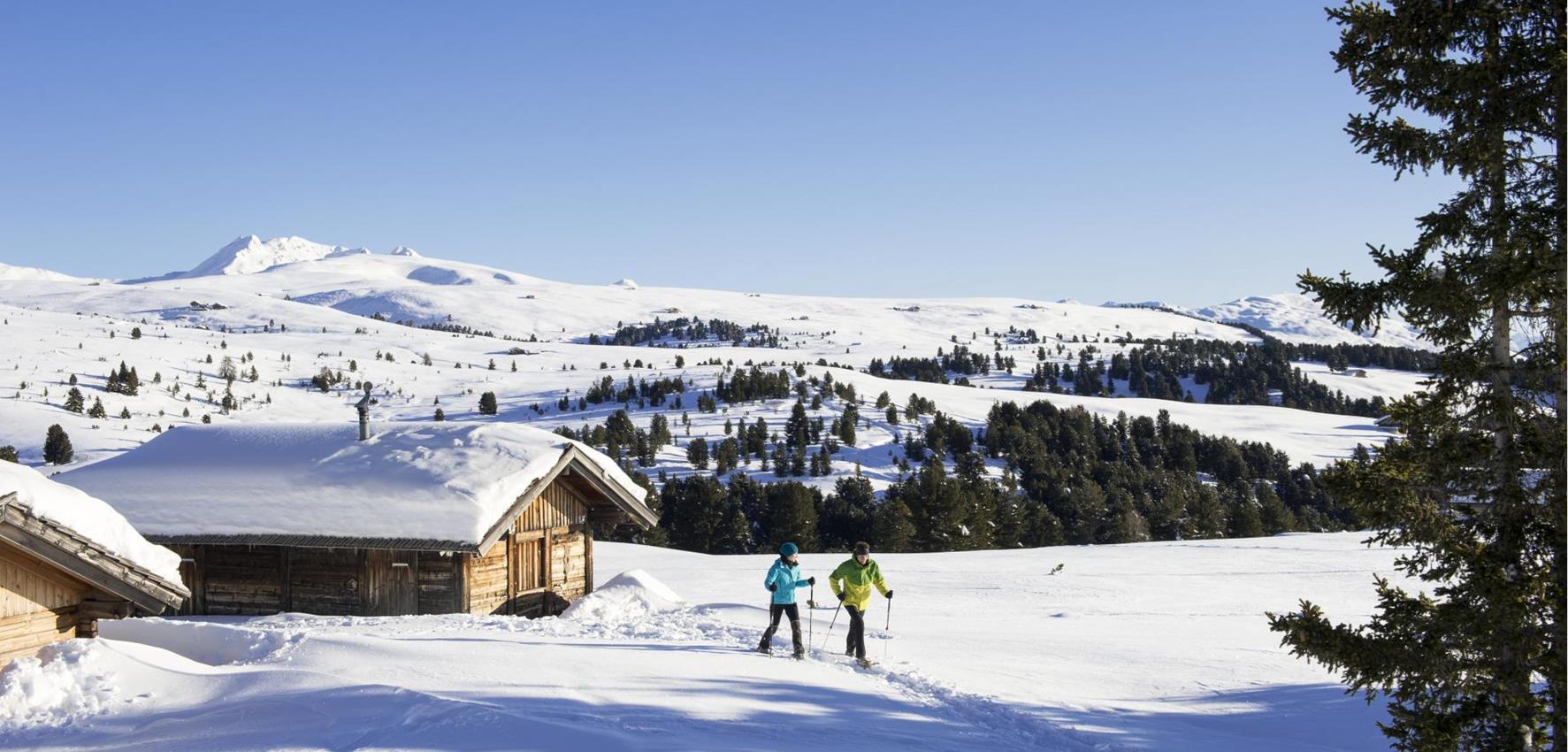 Cross-Country Skiing on the Villanderer Alp