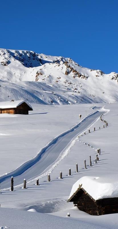 Cross-country Skiing in South Tyrol