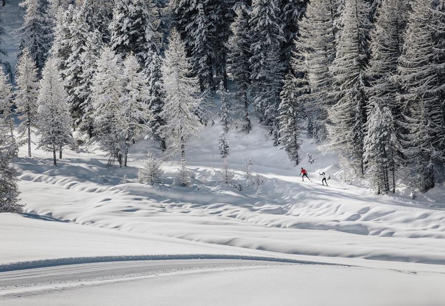 Pista per lo sci di fondo Alpe di Villandro - Corno del Renon