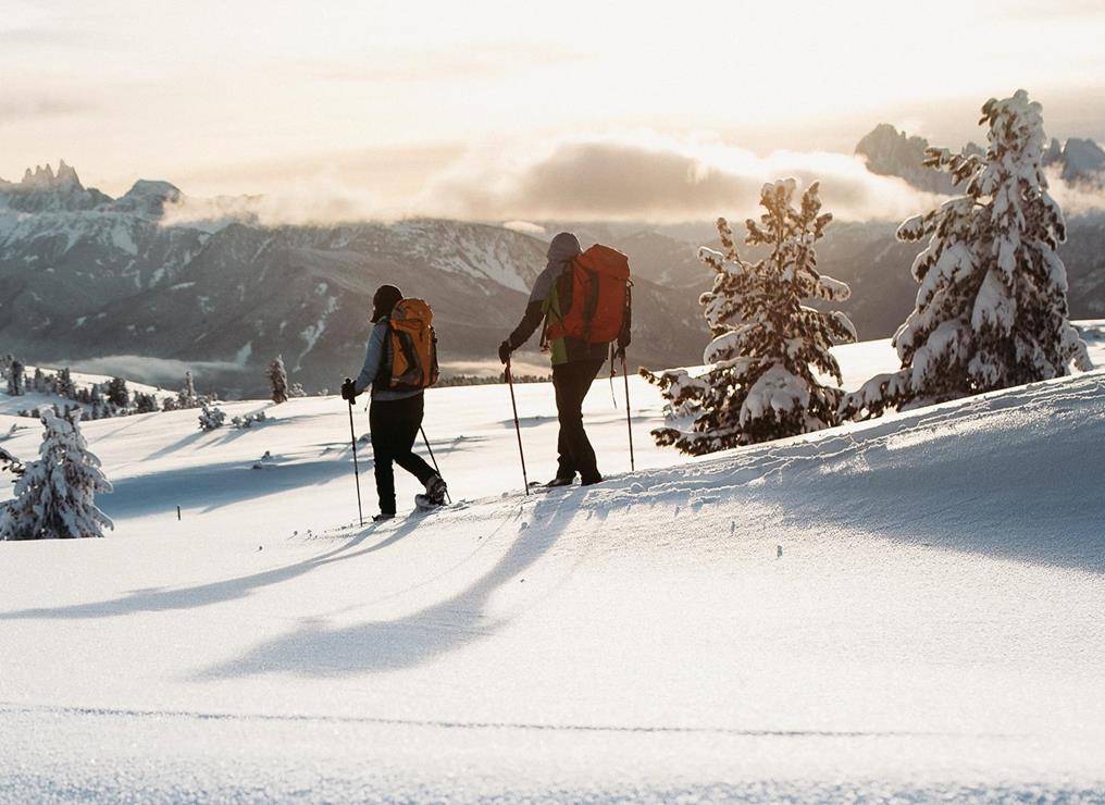 Snowshoe Hike in the Afternoon