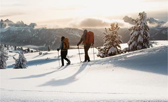 Schneeschuhwanderung am Nachmittag