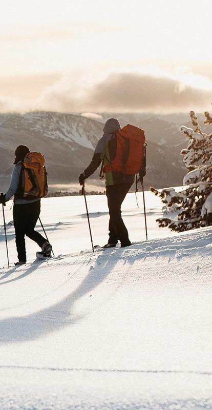 Schneeschuhwanderung am Nachmittag