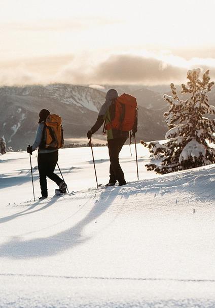 Schneeschuhwanderung am Nachmittag