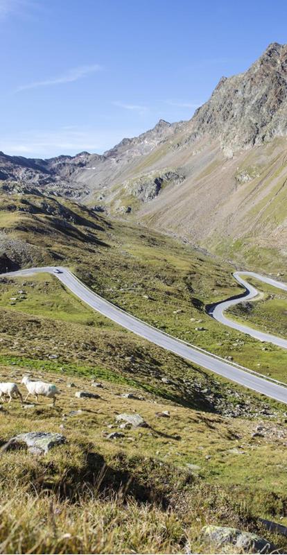 Cabrio Tour in Alto Adige