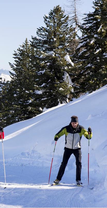 Two Cross-Country Skiers