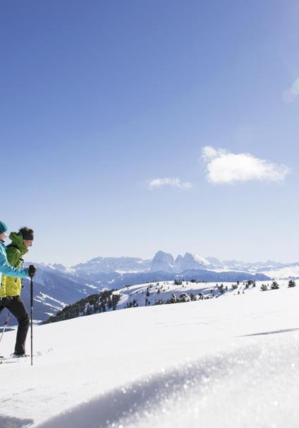 Snowshoe hike for two