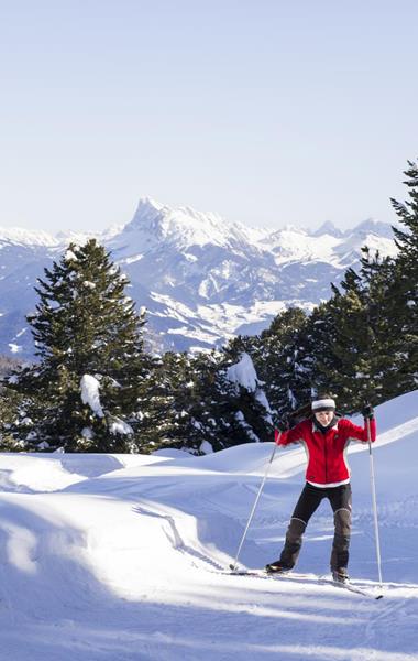 Cross-Country Skiing for Two