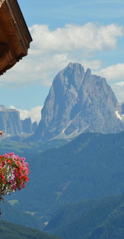 Vista dal balcone