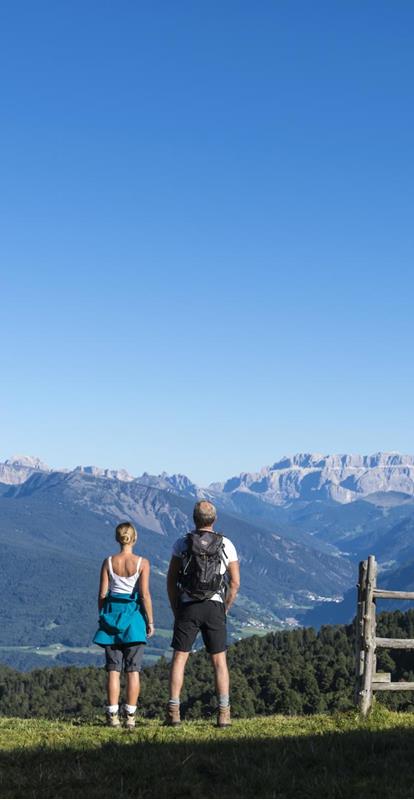 Offerta Voglia di montagna