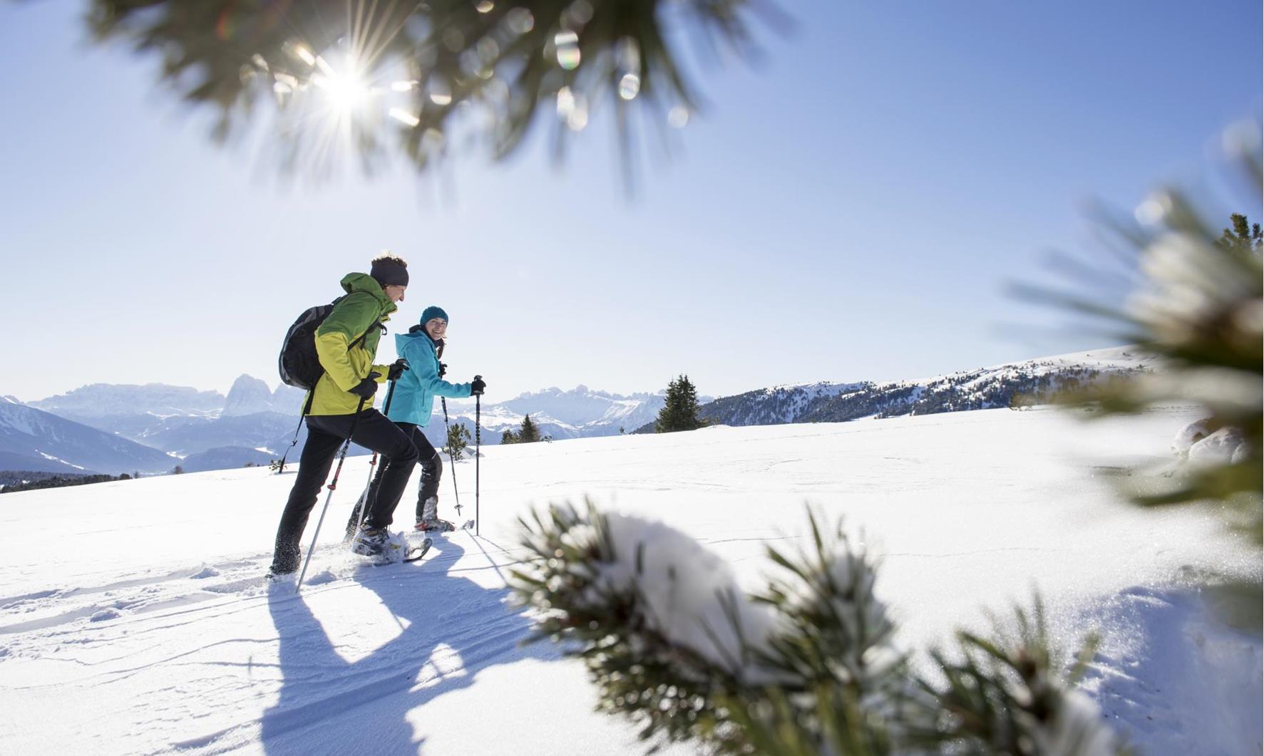 Two Snowshoe Hikers