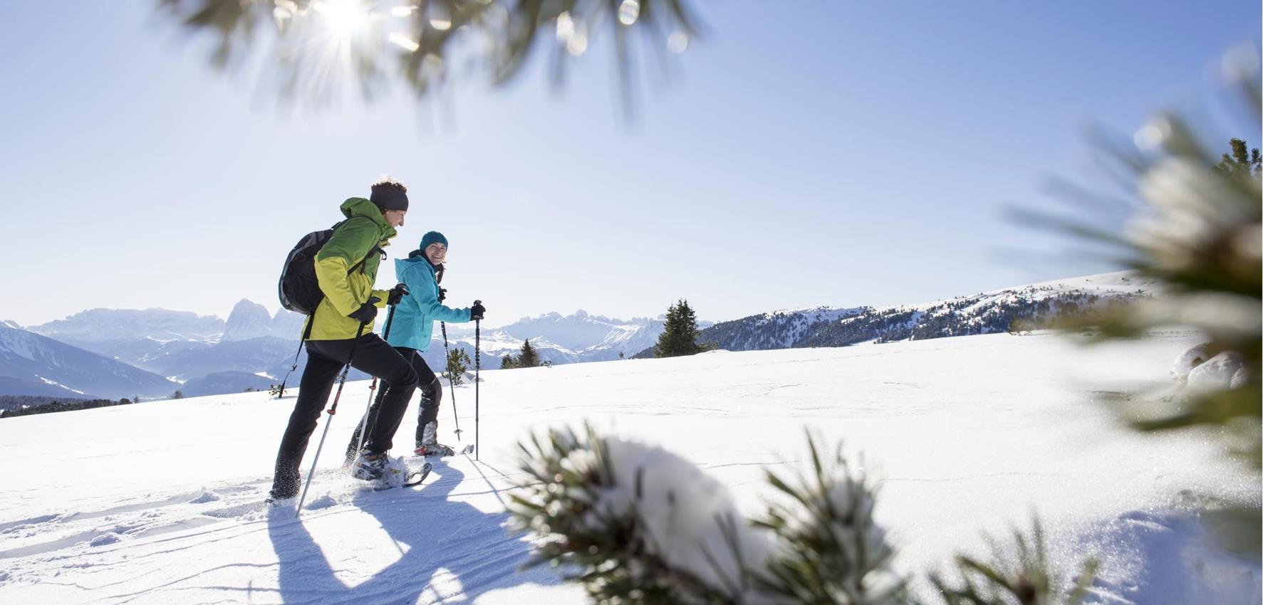 Two Snowshoe Hikers