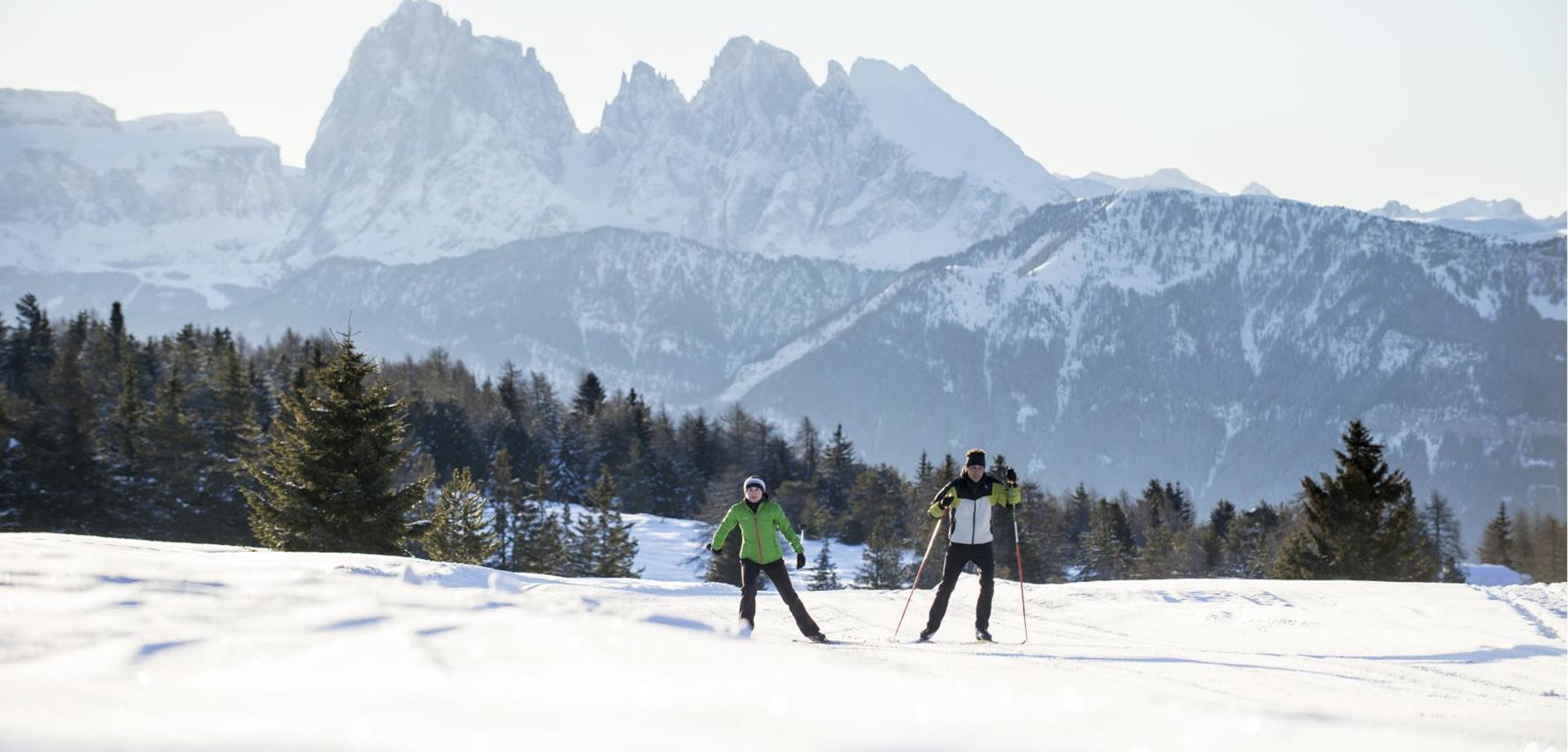 Two Cross-Country Skiers