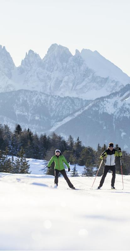 Two Cross-Country Skiers