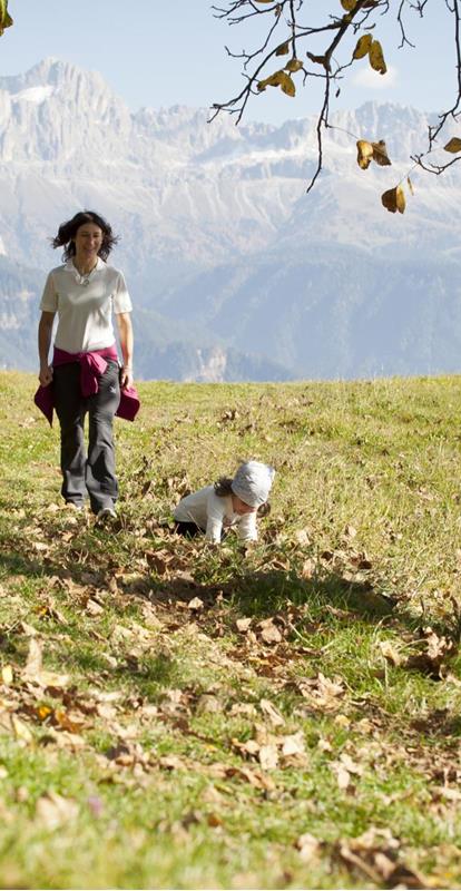 Autumn Hike with the Family