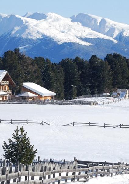 alm-winter-14