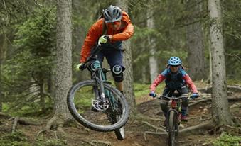 Nel bosco con la mountainbike