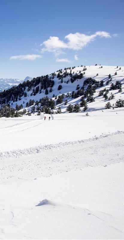 Cross-Country Skiing