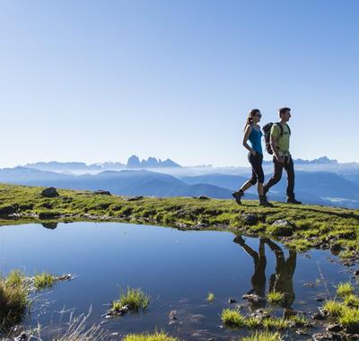 Latschenweg auf der Villanderer Alm