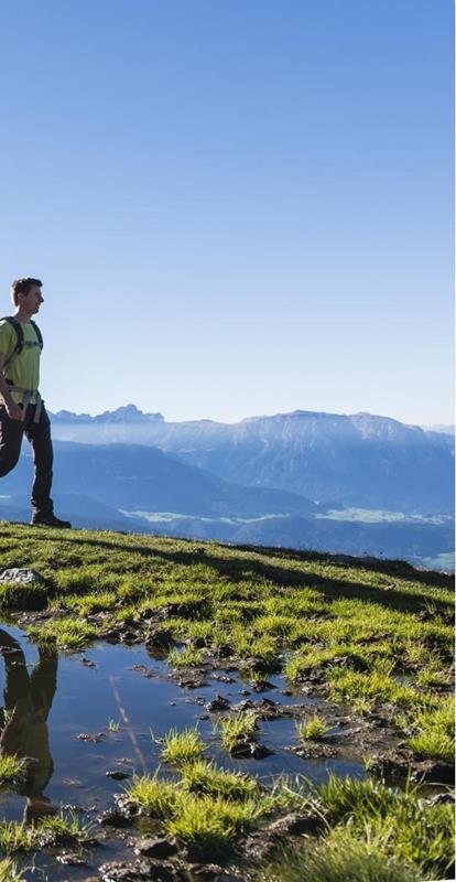 Latschenweg auf der Villanderer Alm