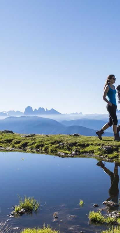 Pine Trail on the Villanderer Alm