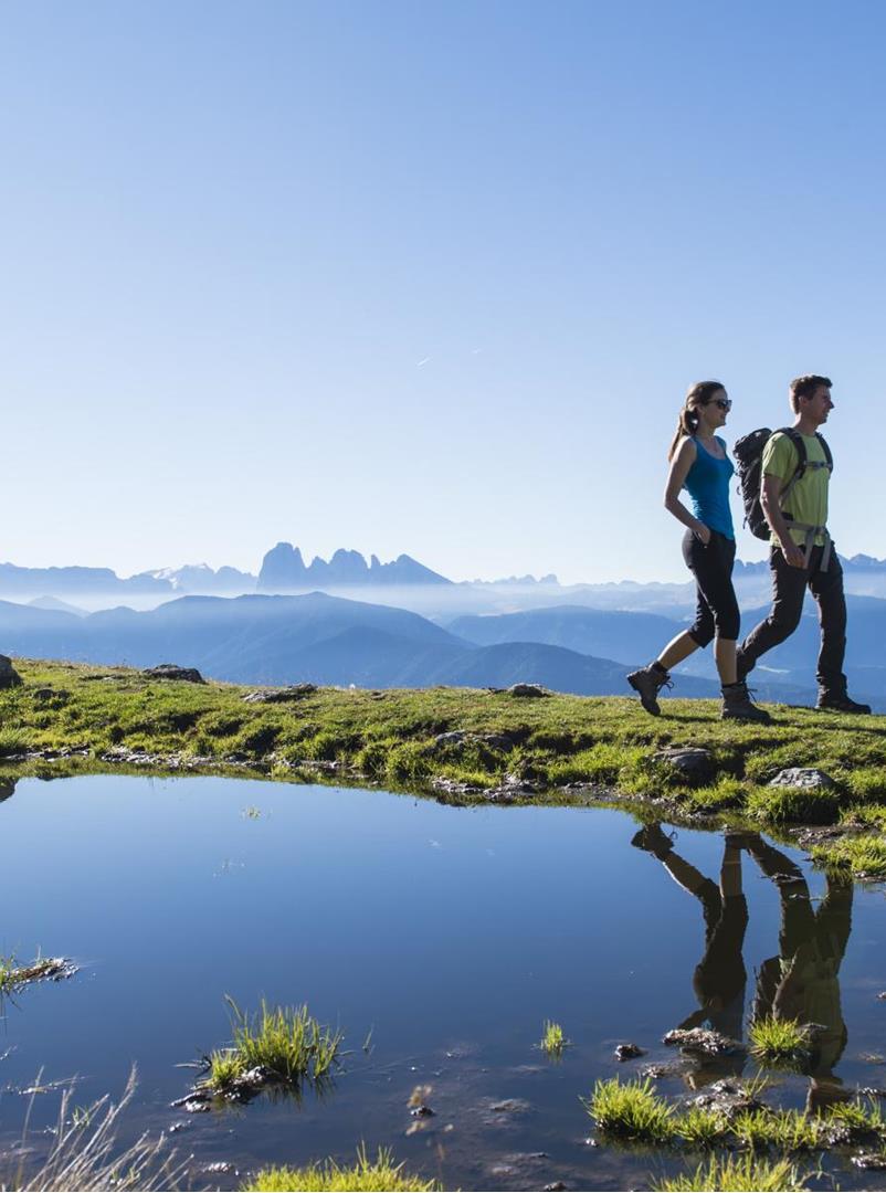 Latschenweg auf der Villanderer Alm